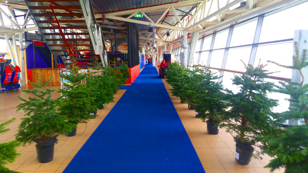 Pflanzenvermietung international - Mietpflanzen für das Pier in Scheveningen / Den Haag