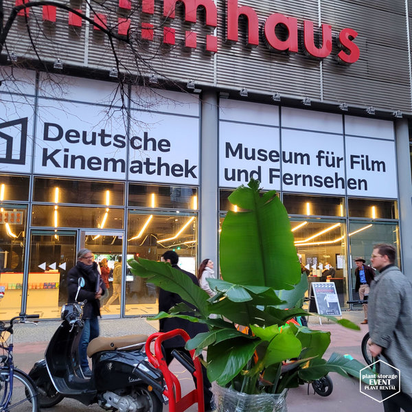 Pflanzenvermietung in Berlin zur Berlinale 2024