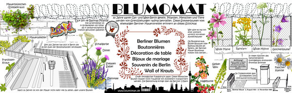 Plant Rental Service - Blumomat im Ballhaus Berlin