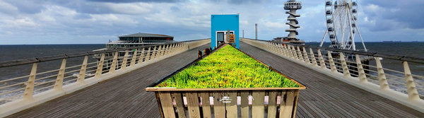 Pflanzenvermietung international - Mitpflanzen für das Pier in Scheveningen / Den Haag